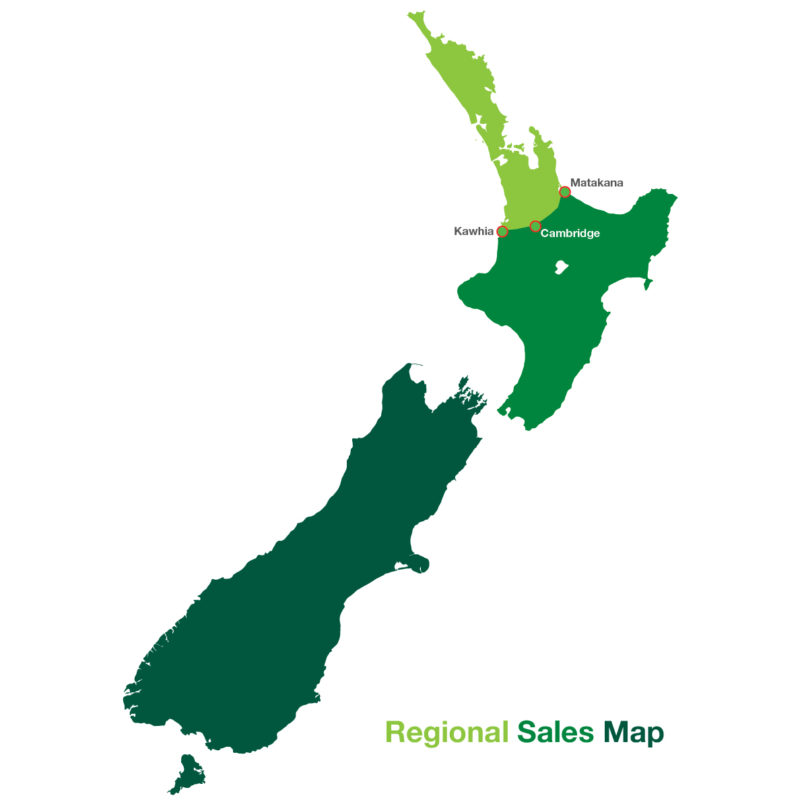 regional sales map 2021-01